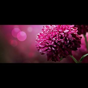 Meet your Posher, Terri